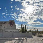 Review photo of Twin Peaks Campground — Organ Pipe Cactus National Monument by LoneCamper C., June 29, 2022