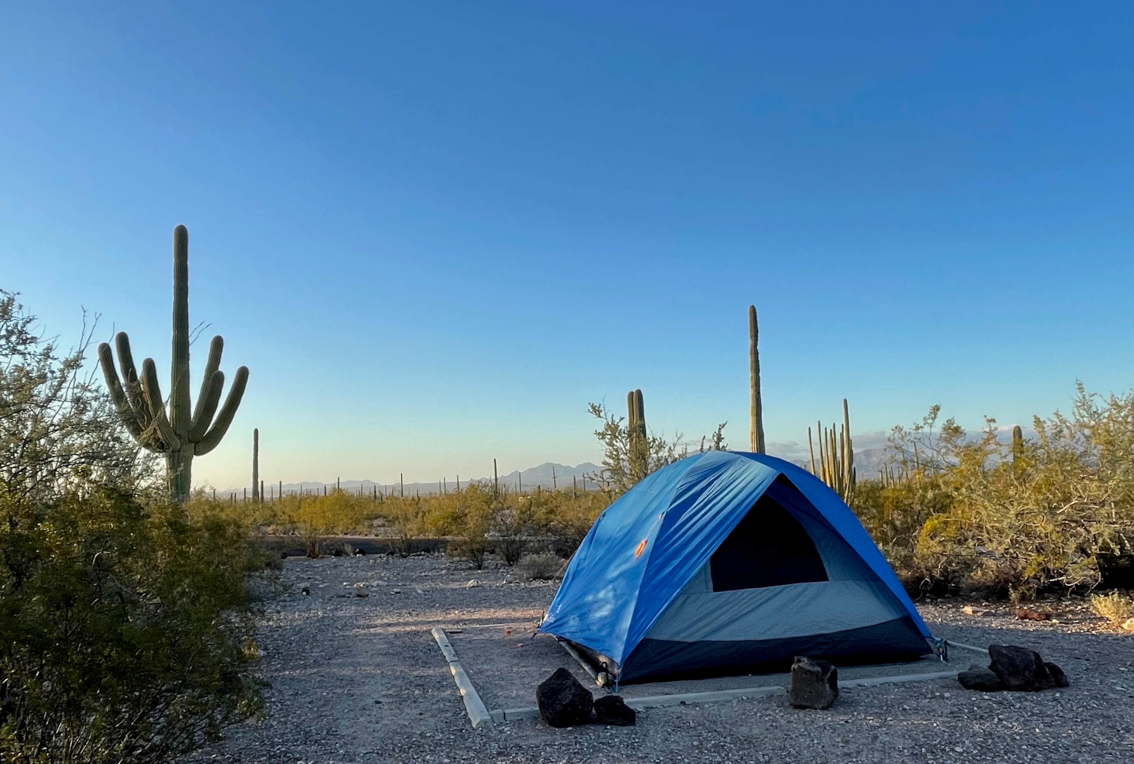 LoneCamper C.'s photo at Twin Peaks Campground — Organ Pipe Cactus National Monument near Ajo, AZ