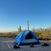 Review photo of Twin Peaks Campground — Organ Pipe Cactus National Monument by LoneCamper C., June 29, 2022