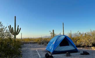LoneCamper C.'s photo at Twin Peaks Campground — Organ Pipe Cactus National Monument near Ajo, AZ