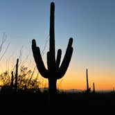 Review photo of Twin Peaks Campground — Organ Pipe Cactus National Monument by LoneCamper C., June 29, 2022