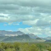 Review photo of Twin Peaks Campground — Organ Pipe Cactus National Monument by LoneCamper C., June 29, 2022