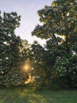 Camping near Mountain View Escape: Sunset Paradise View, Schuylerville, New York