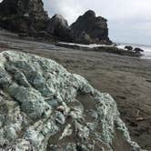 Review photo of Harris Beach State Park Campground by Kelly N., July 17, 2018