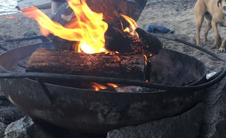 Saraj B.'s photo of camping with pets at Bartoo Island Boat-in Campground near Cusick, WA