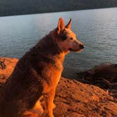 Review photo of Alder Lake Park by Corey C., July 17, 2018