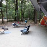 Review photo of Quechee State Park Campground by Sarah C., June 29, 2022