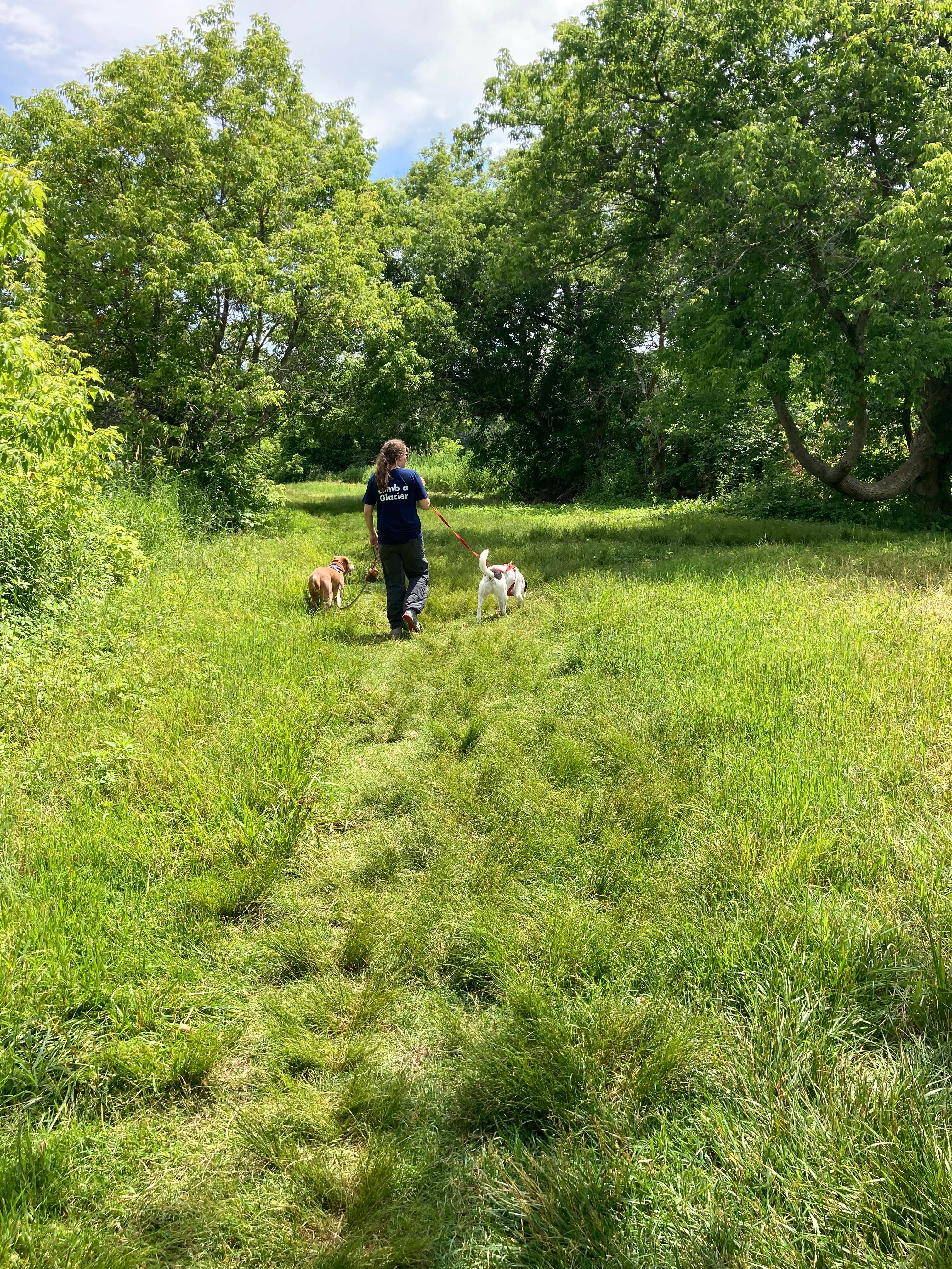 Sarah C.'s photo of camping with pets at Quechee State Park Campground near Dorchester, NH