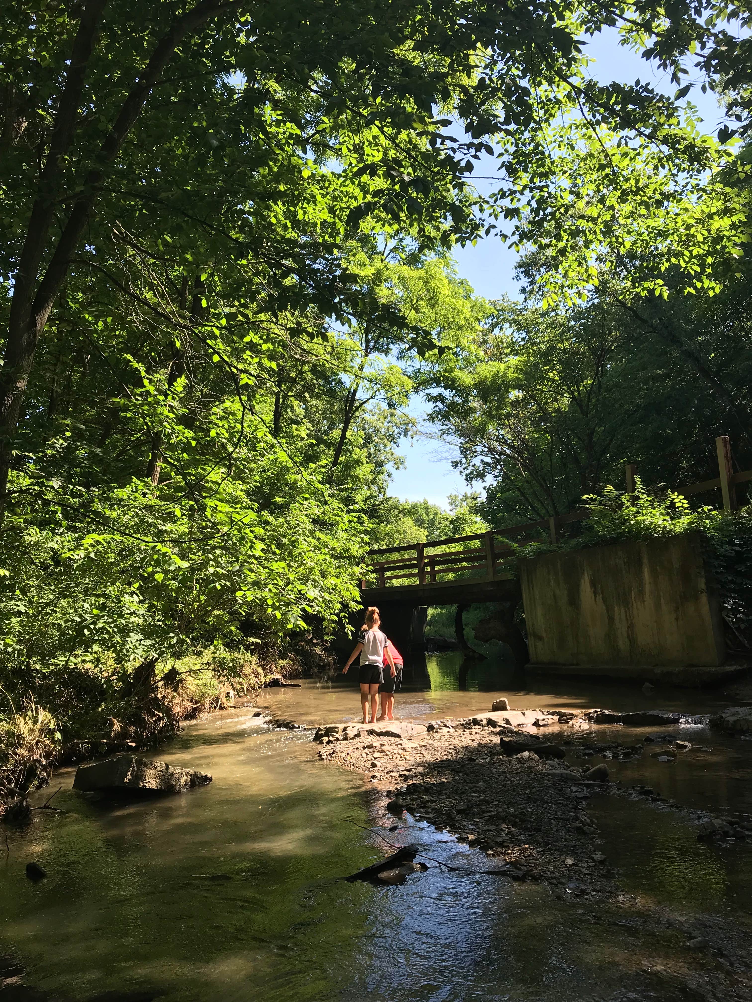 Camper-submitted photo at Pleasant Creek Campground near Somonauk, IL