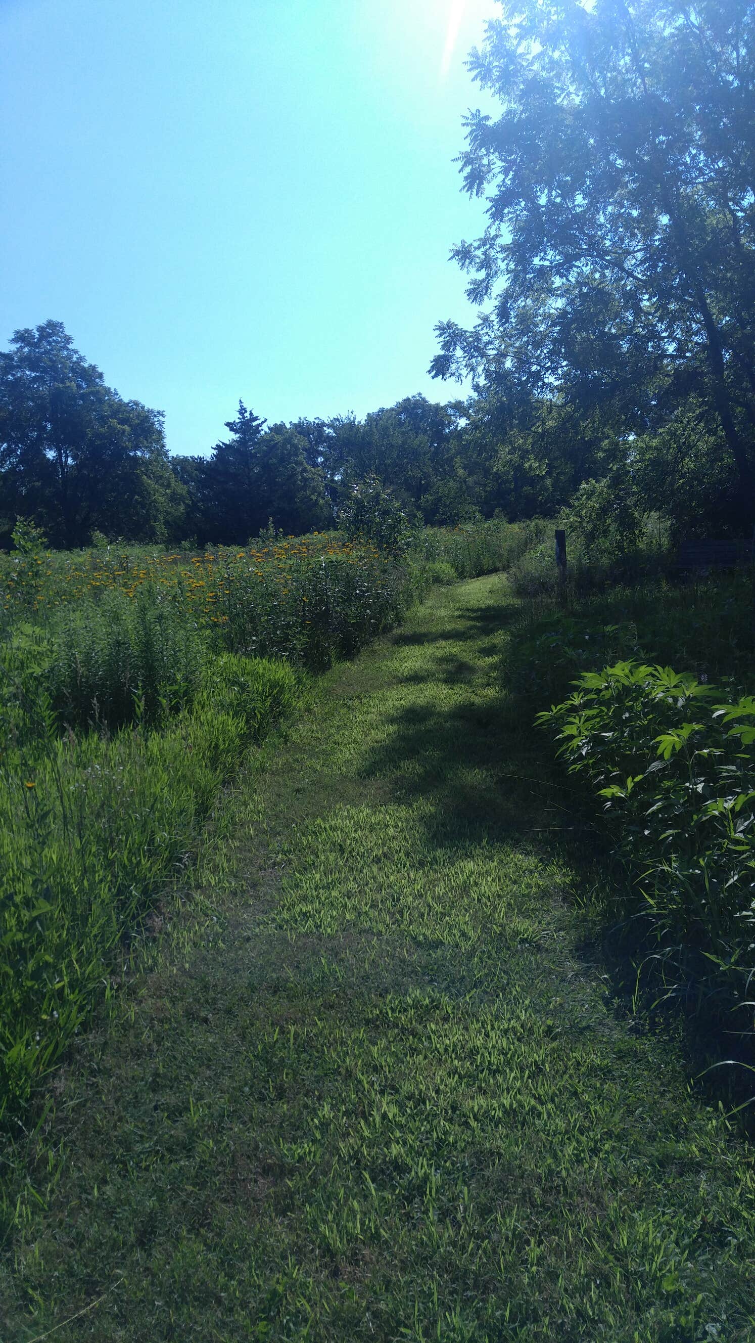 Camper submitted image from Botna Bend County Park - 5