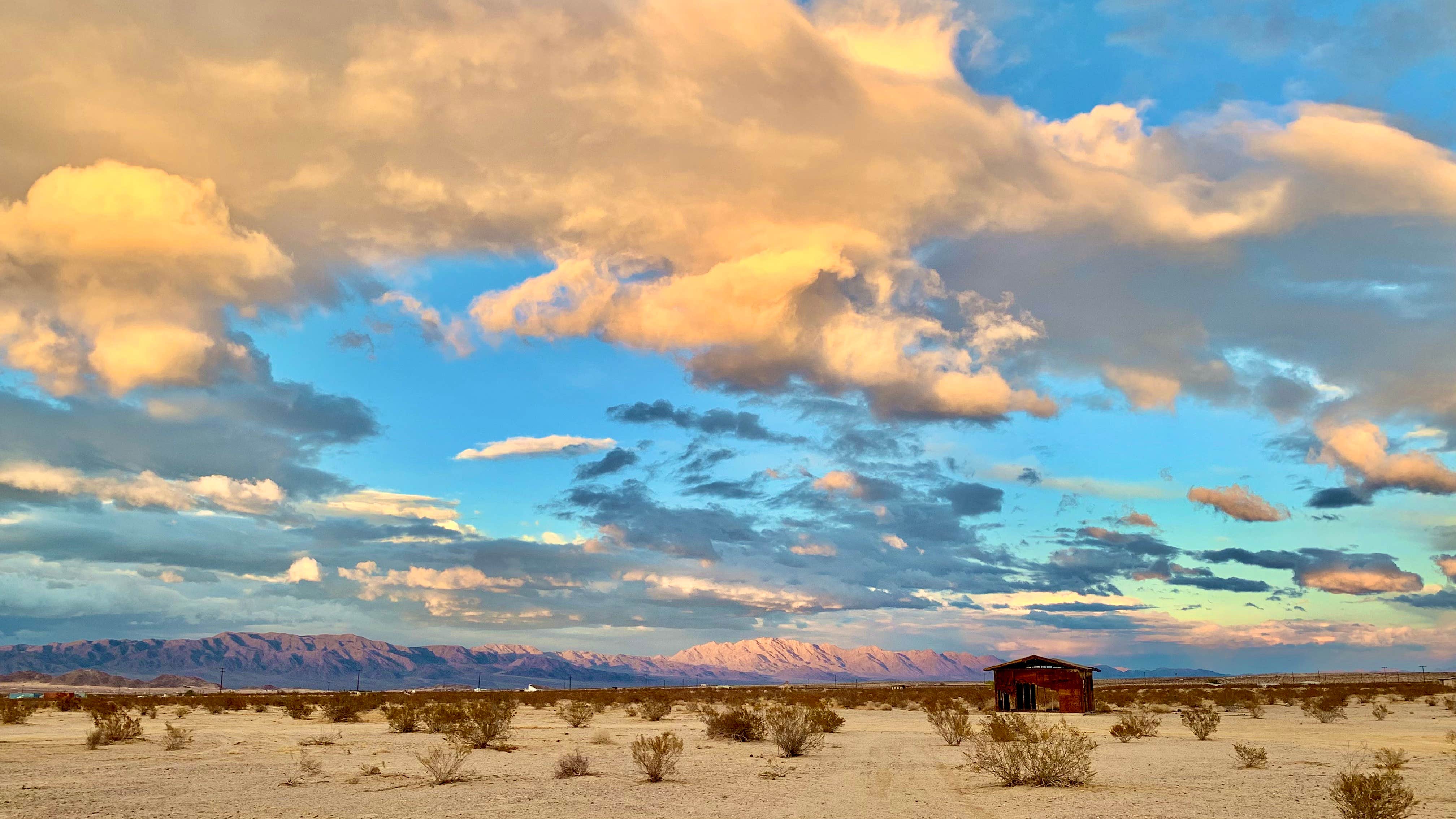Camper-submitted photo at Prairie Dog RV And Camping near Joshua Tree National Park