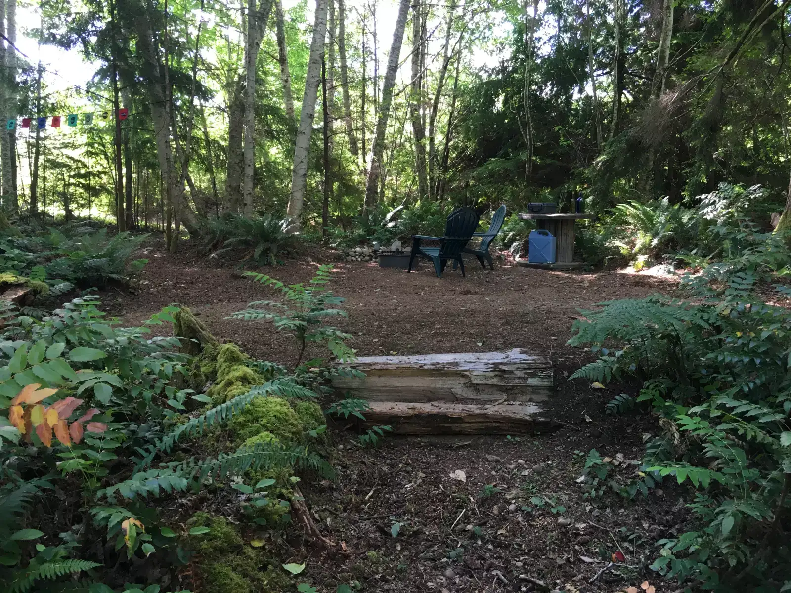 Camper-submitted photo at Malaney Creek Farm near Wauna, WA