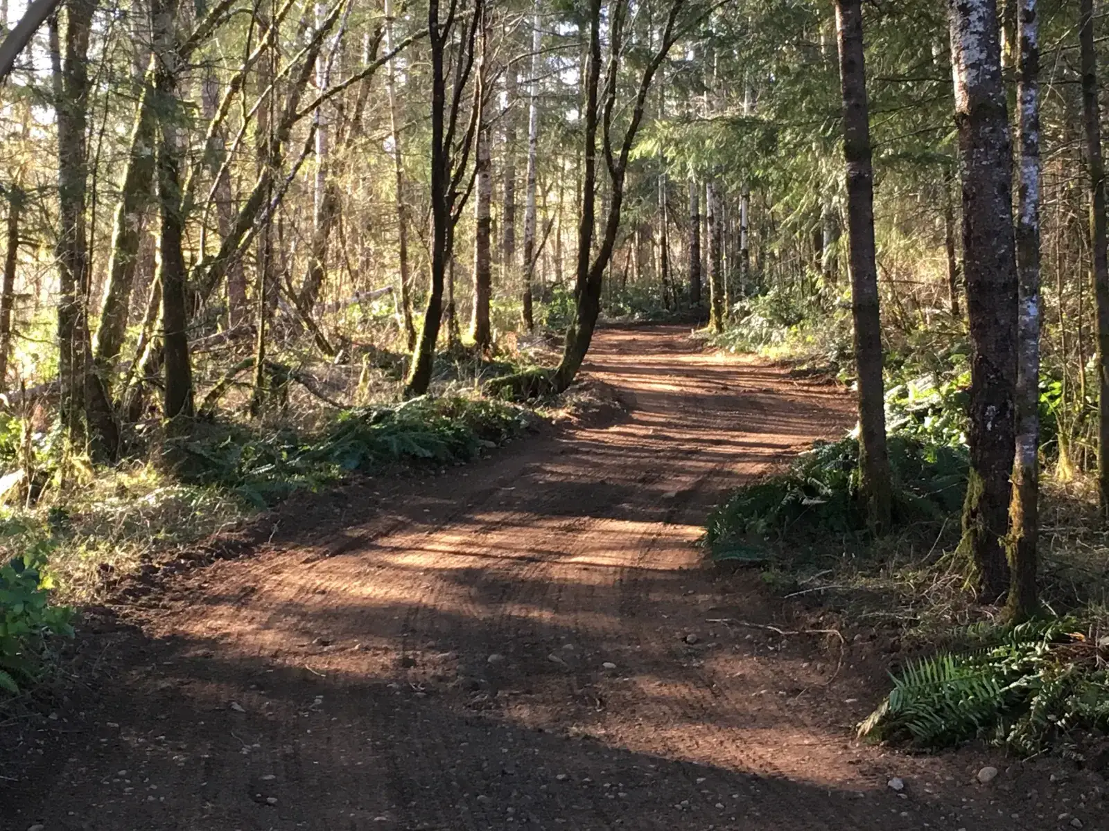 Camper-submitted photo at Malaney Creek Farm near Wauna, WA