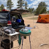 Review photo of Forest Service Road 700 Designated Dispersed Camping by Bryan P., June 29, 2022