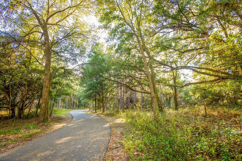 Camper-submitted photo at Whimcycle Trail Resort At Santos near Wildwood, FL