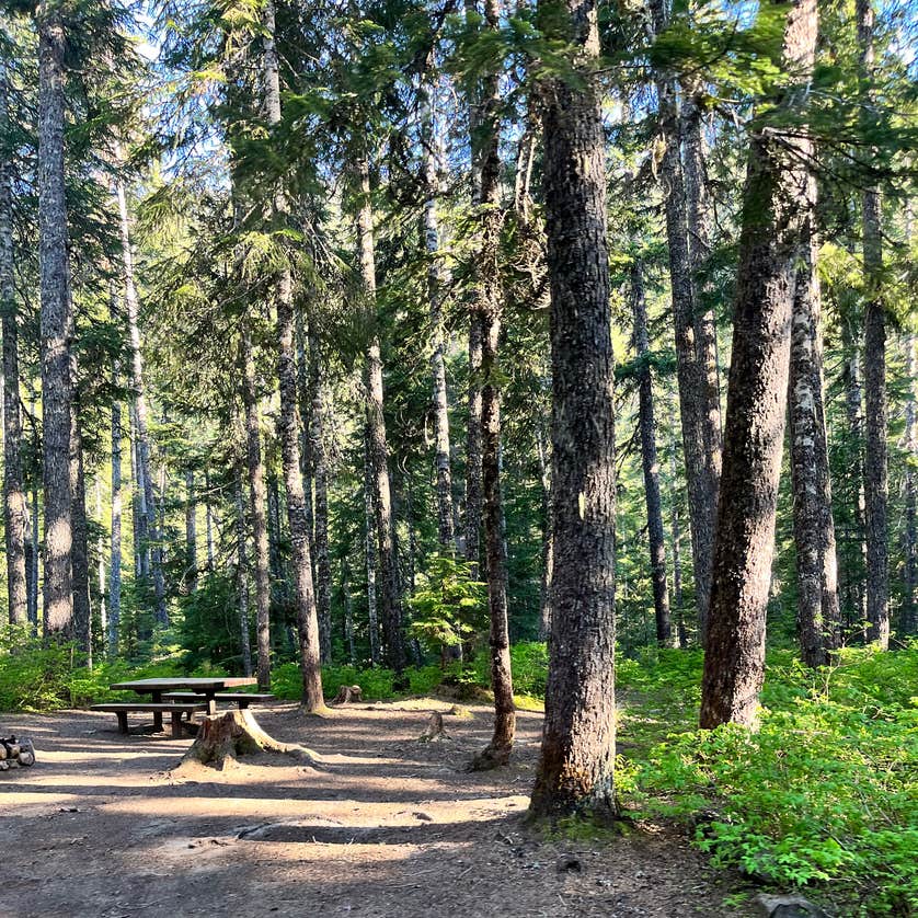 Soda Springs Camping Goose prairie WA Soda Springs Camping Goose prairie WA