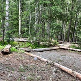 Review photo of White River Campground — Mount Rainier National Park by Bradee A., June 29, 2022