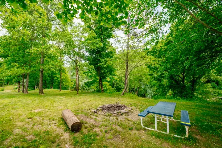 Camper-submitted photo at Rockcastle Riverside near Livingston, KY