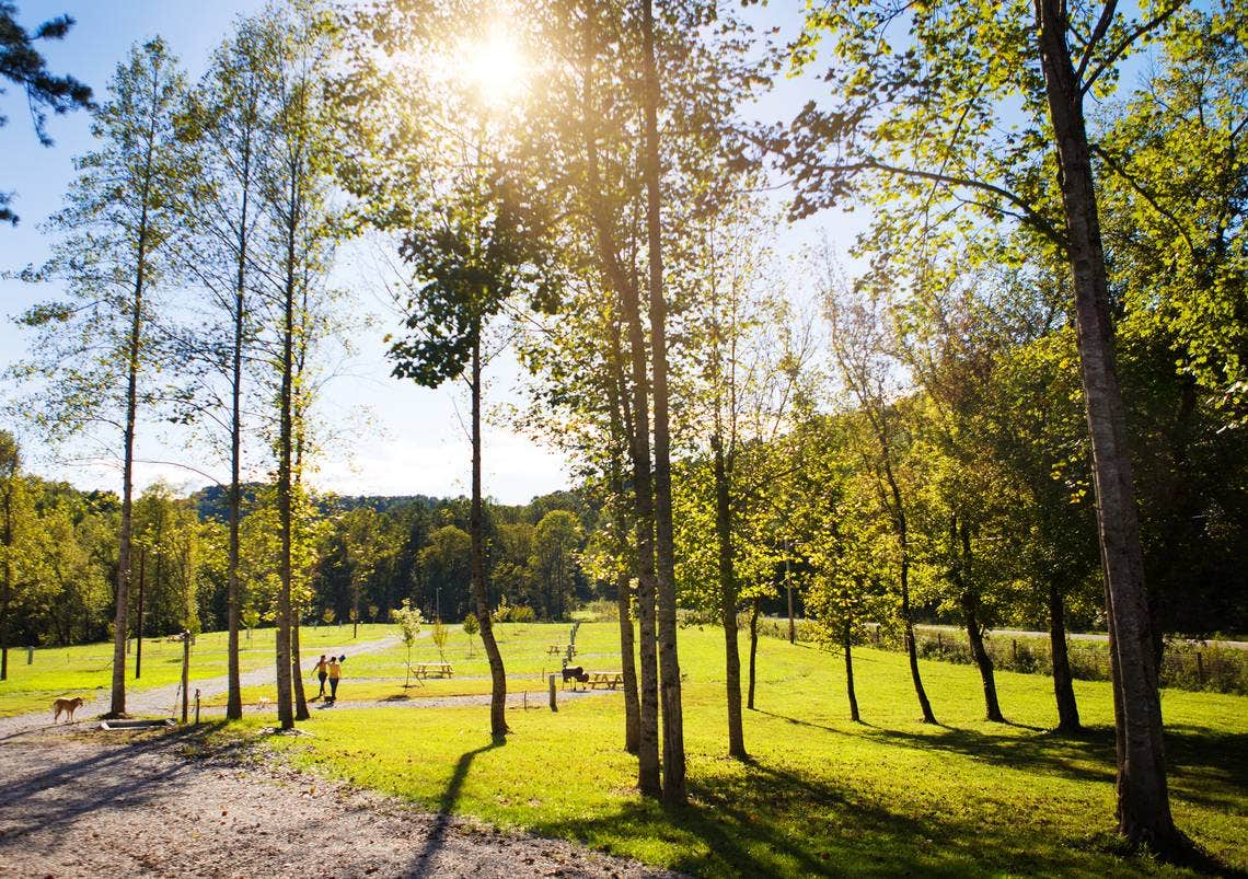 Rockcastle Riverside