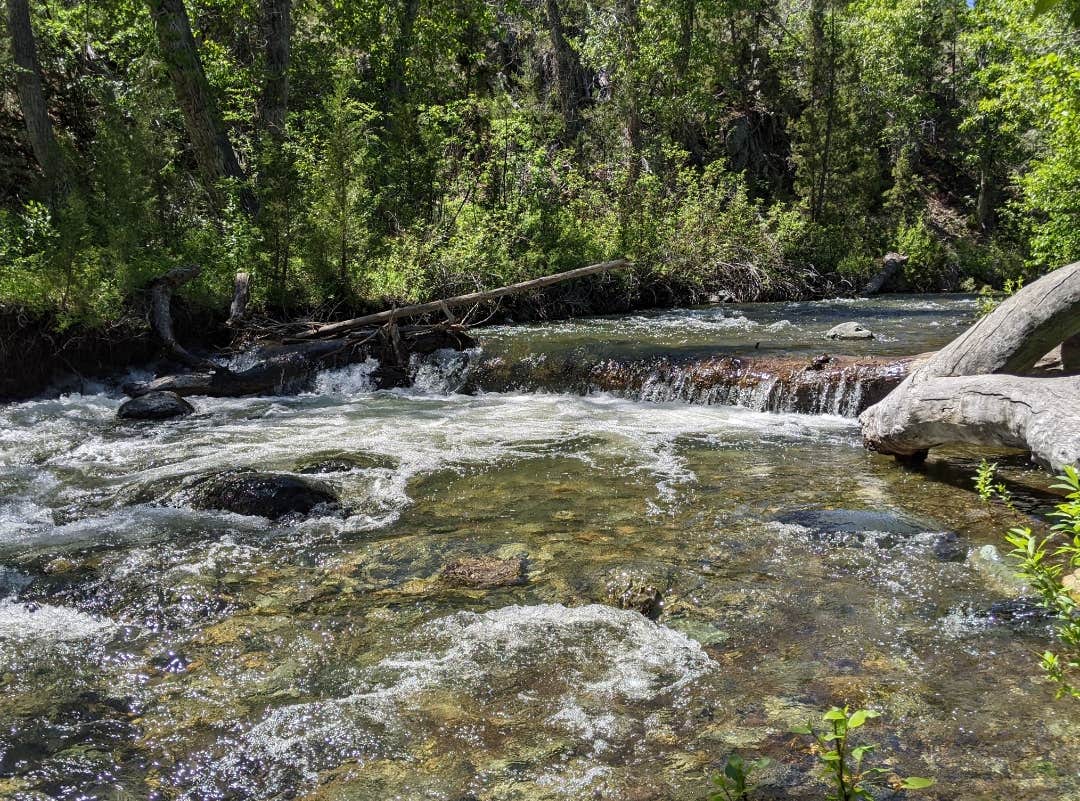 Camper submitted image from Crow Creek Campground - 4