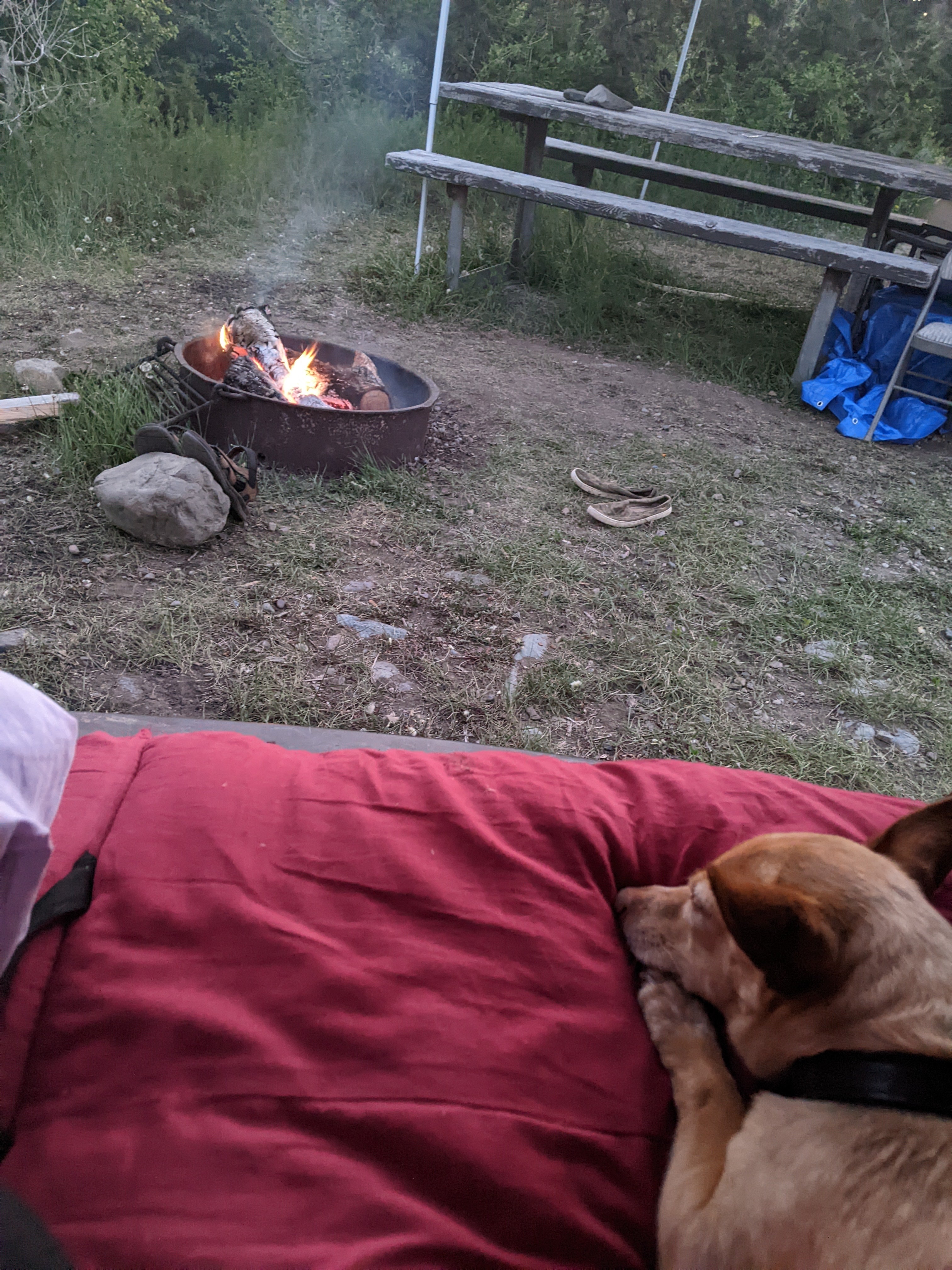 Camper submitted image from Crow Creek Campground - 1