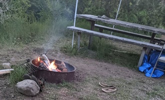 Camping near Kelly Gulch Road Dispersed Camping : Crow Creek Campground, Radersburg, Montana