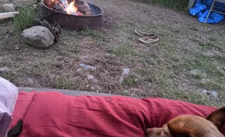 Kandi R.'s photo at Crow Creek Campground near Gallatin National Forest