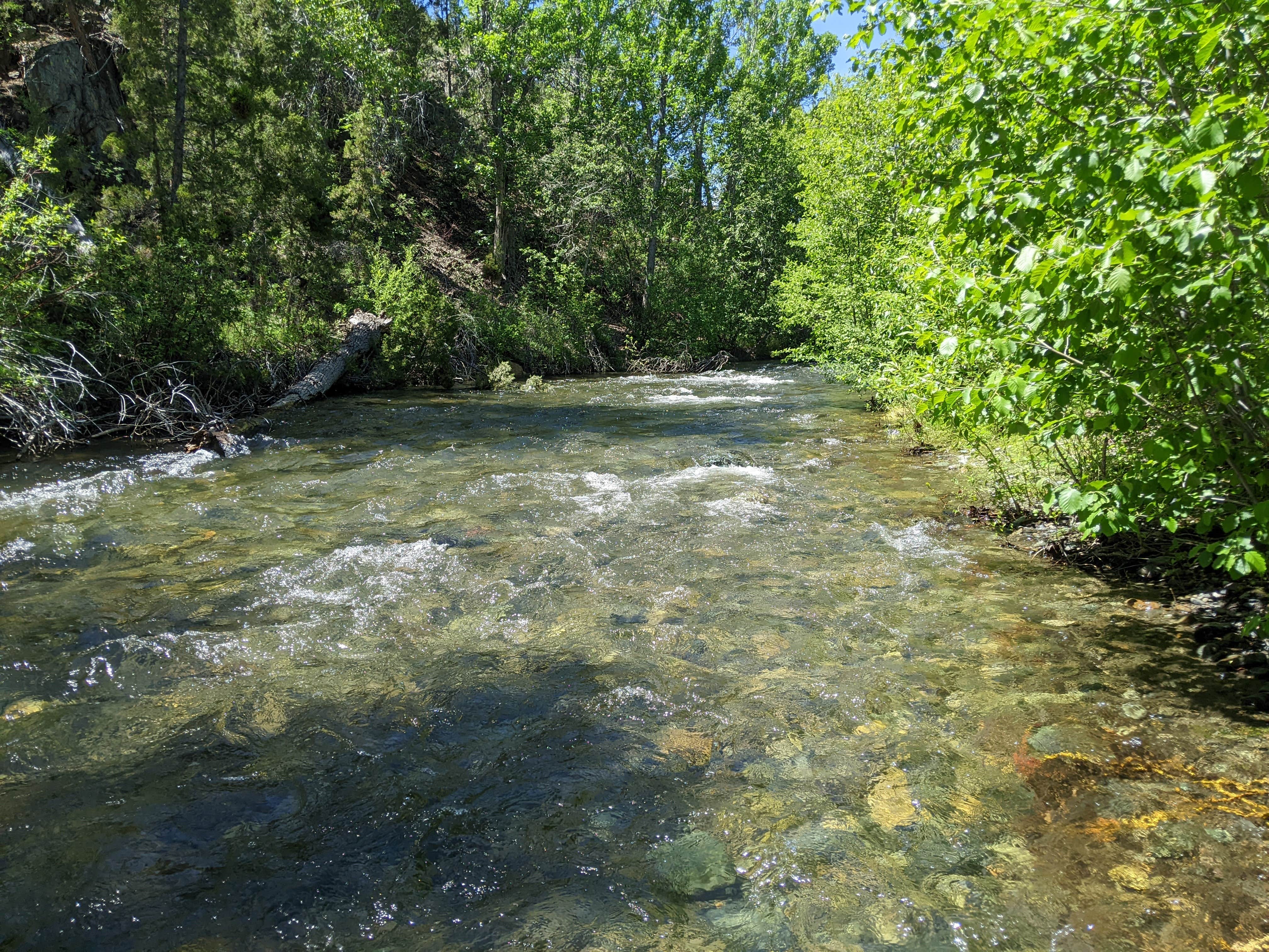 Camper-submitted photo at Crow Creek Campground near Radersburg, MT