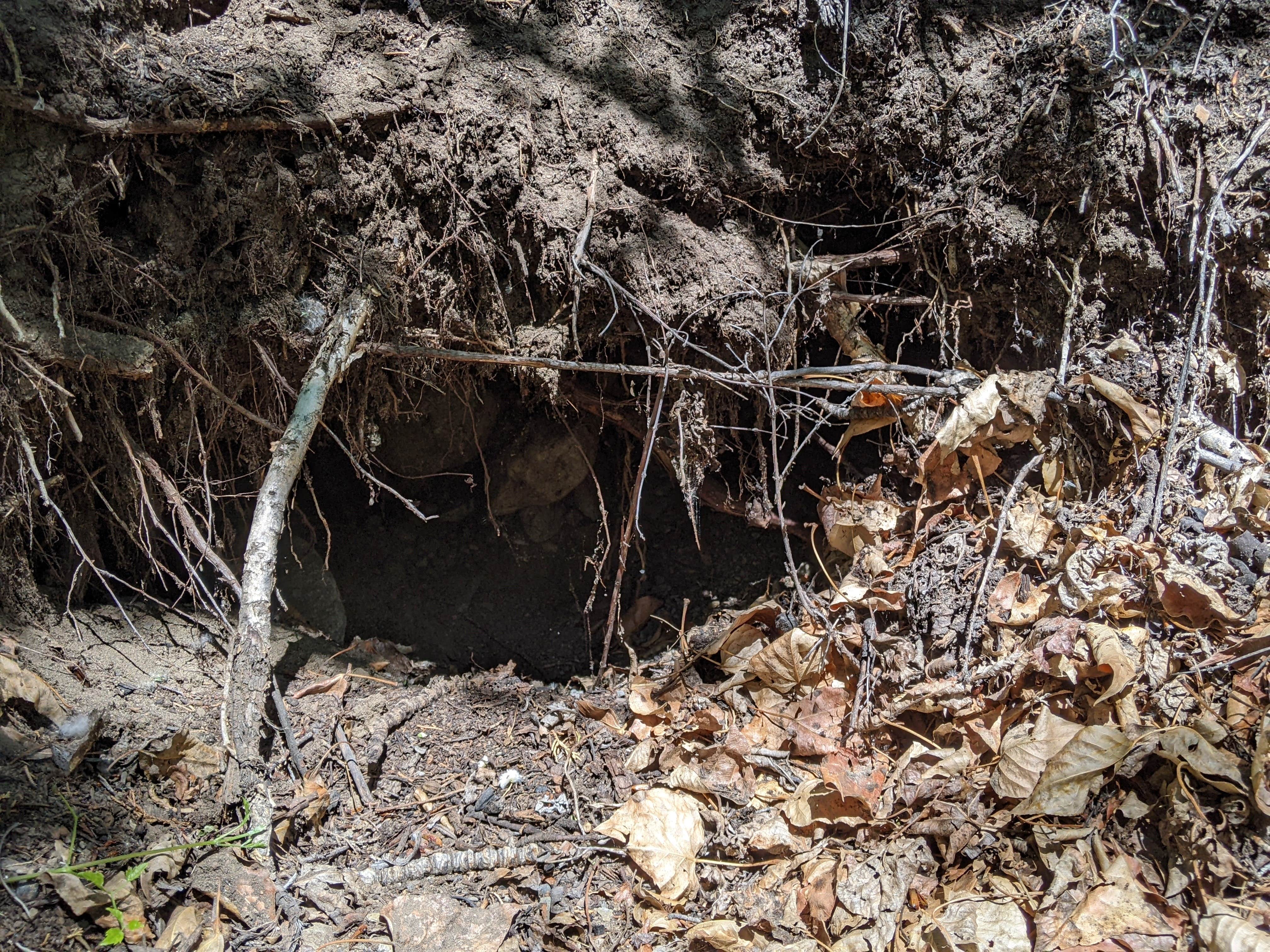 Camper-submitted photo at Crow Creek Campground near Radersburg, MT