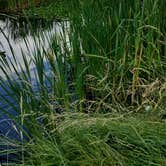 Review photo of Grande Hot Springs RV Resort by Kelly N., July 17, 2018