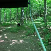 Review photo of Copper Falls State Park Campground by Mallory S., June 30, 2022