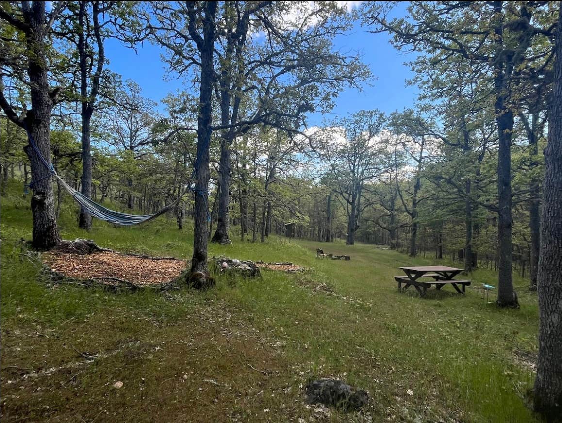 Camper-submitted photo at WaterOak Campsite at The Garden of Eden near John Day Lock and Dam, Lake Umatilla