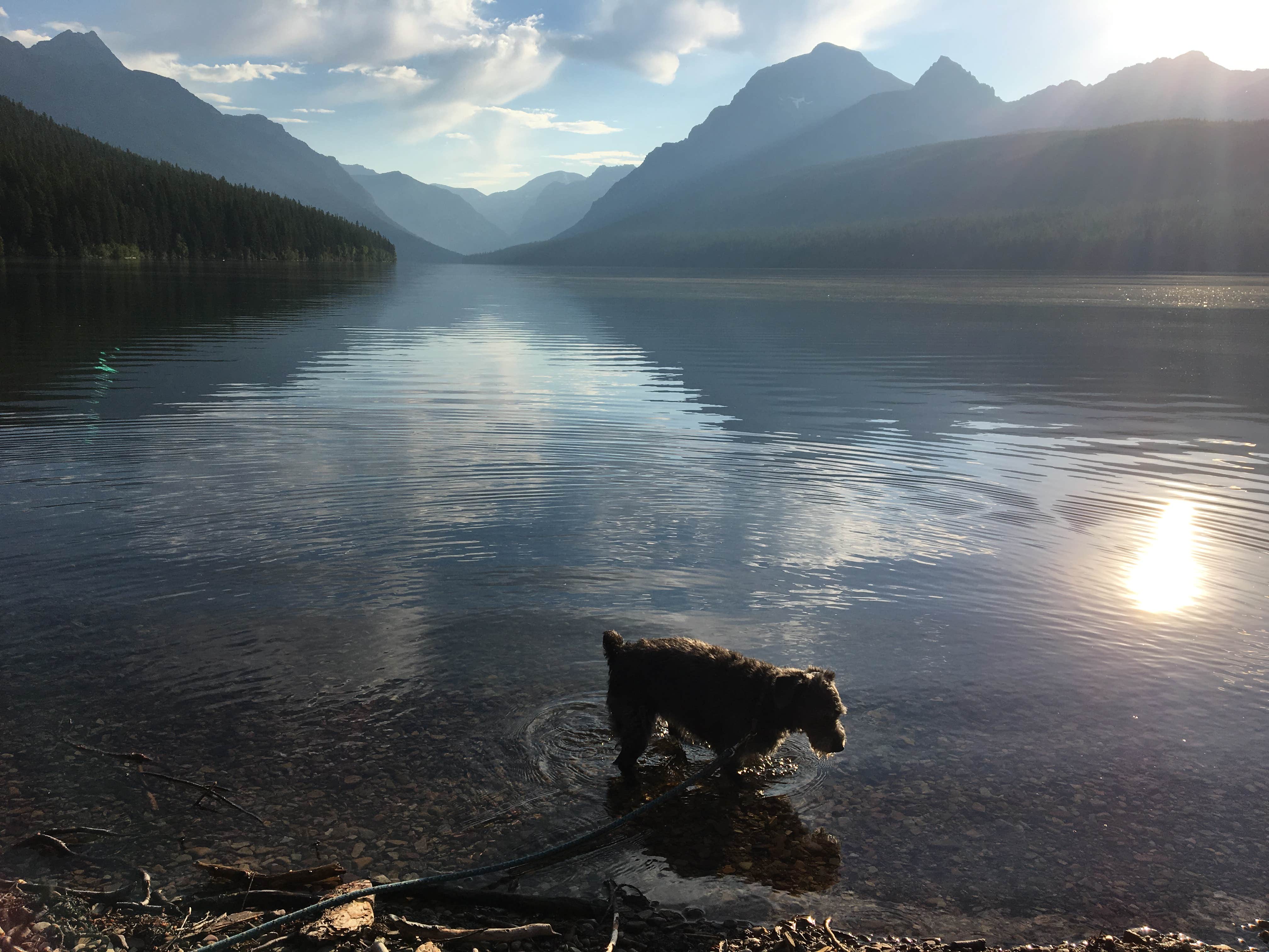 Camper-submitted photo at Bowman Lake Campground — Glacier National Park near Stryker, MT