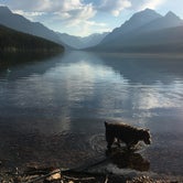 Review photo of Bowman Lake Campground — Glacier National Park by Haylea A., July 17, 2018