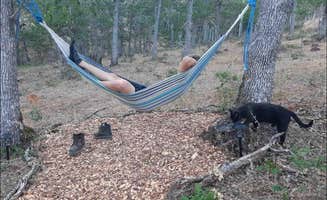 Adam and Eve E.'s photo of camping with pets at WaterOak Campsite at The Garden of Eden near The Dalles, OR