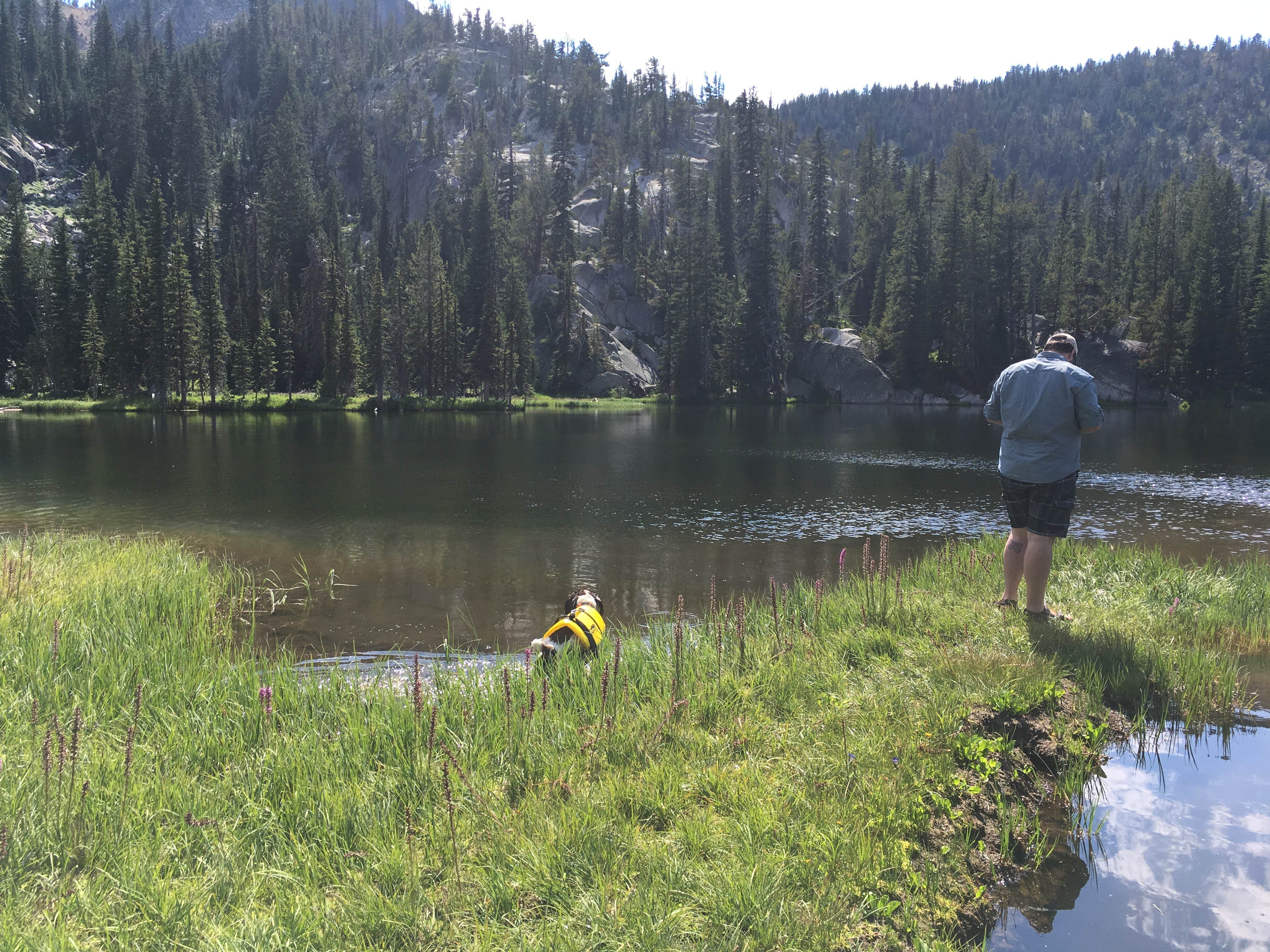 Camper submitted image from Anthony Lake Campground - 4