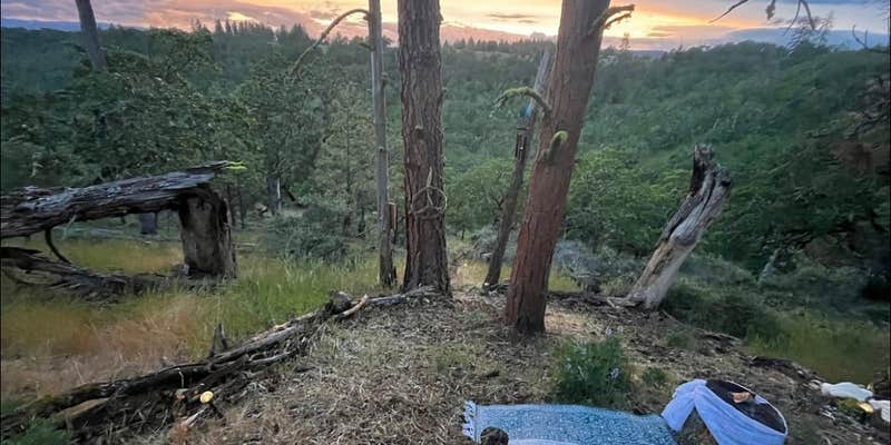 Camper submitted image from WaterOak Campsite at The Garden of Eden