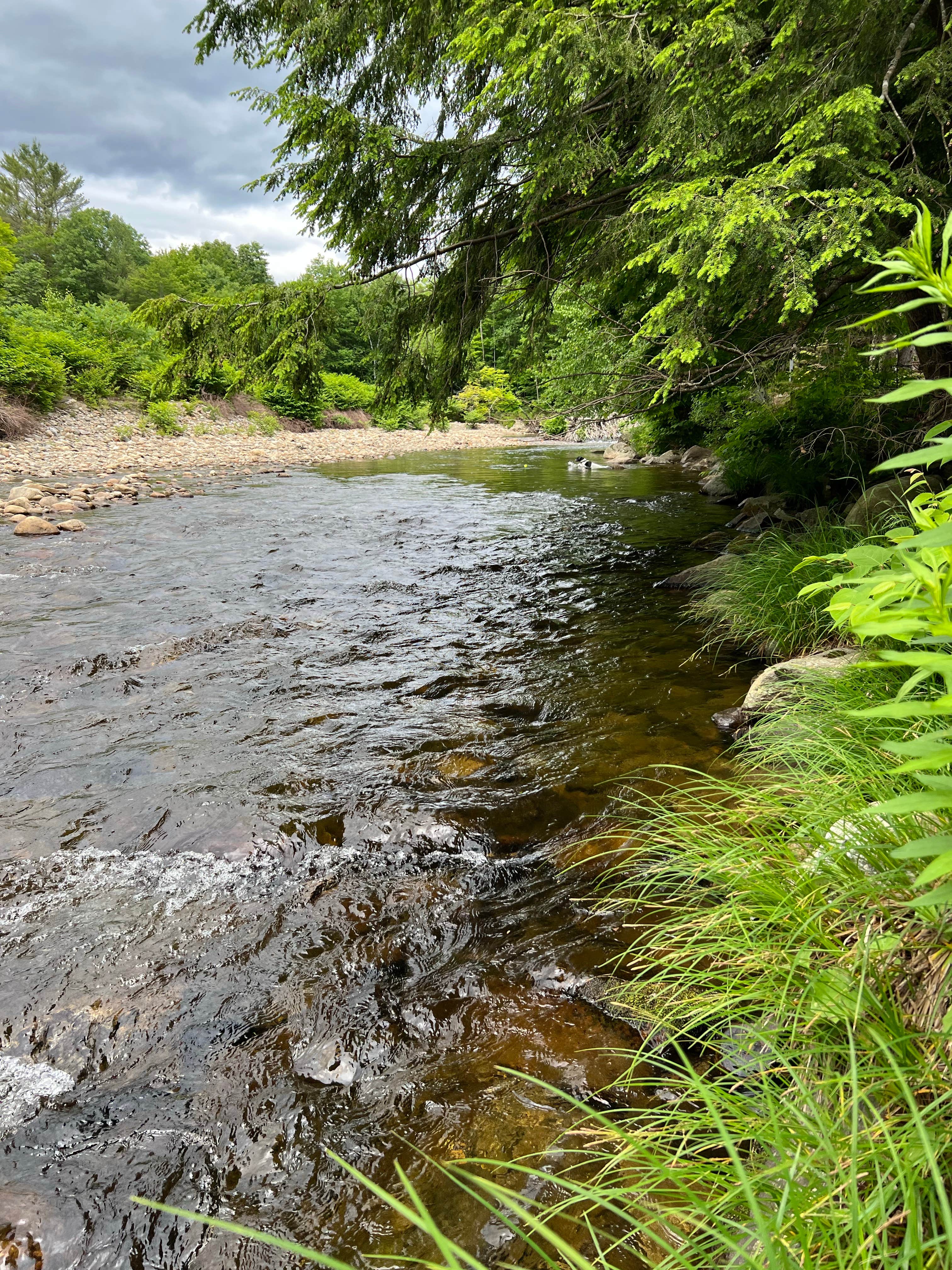 Camper submitted image from Scenic View Campground - 4