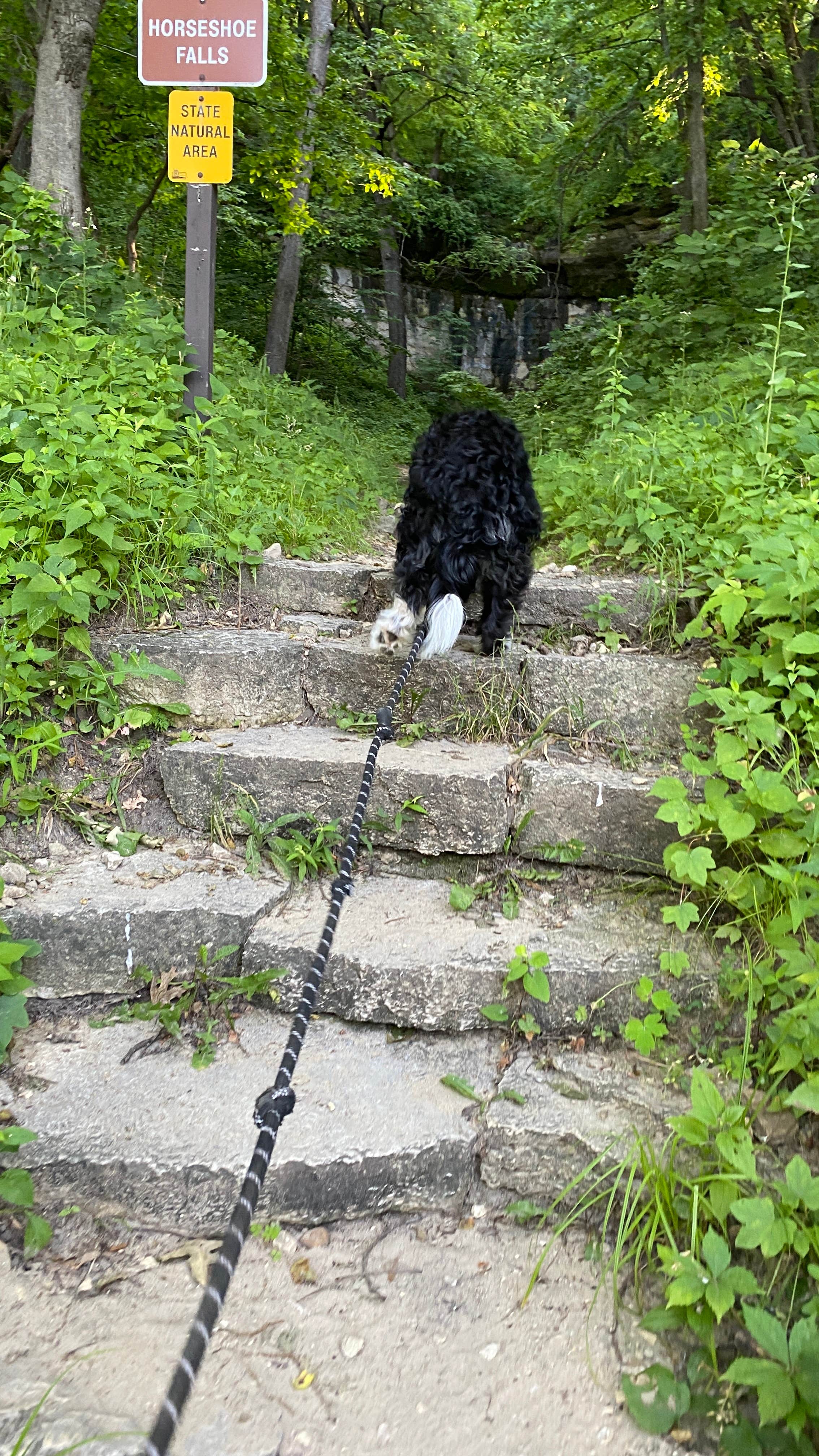 Jordan A.'s photo of camping with pets at Perrot State Park Campground near Kellogg, MN