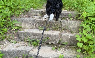 Jordan A.'s photo of camping with pets at Perrot State Park Campground near Trempealeau, WI