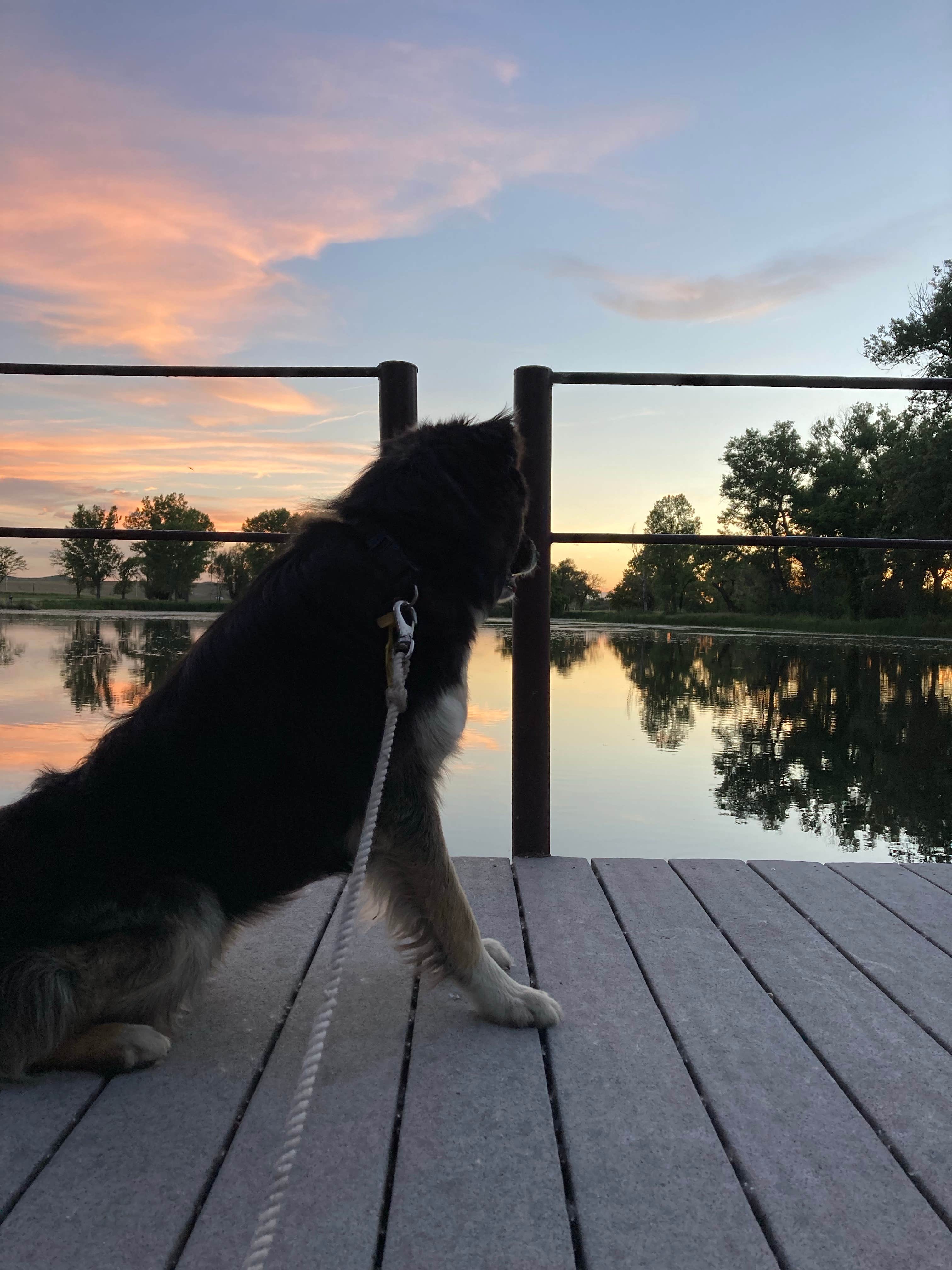 A C.'s photo of camping with pets at Arnold Lake State Rec Area — Arnold State Recreation Area near Gothenburg, NE