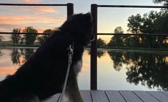 A C.'s photo of camping with pets at Arnold Lake State Rec Area — Arnold State Recreation Area near Halsey, NE