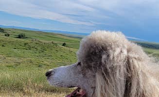 Angela M.'s photo of camping with pets at 7th Ranch RV Park near Colstrip, MT