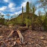 Review photo of Picacho Peak State Park Campground by Luckybreak R., June 30, 2022