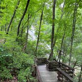 Review photo of Stone Mountain State Park Campground by Joseph B., June 30, 2022