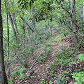 Review photo of Raccoon Branch Campground by Joseph B., June 30, 2022