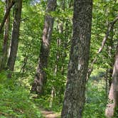 Review photo of Raccoon Branch Campground by Joseph B., June 30, 2022