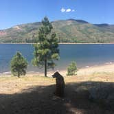 Review photo of Middle Mountain by Elizabeth V., July 17, 2018