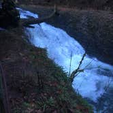 Review photo of Silver Falls State Park Campground by Kelly N., July 17, 2018