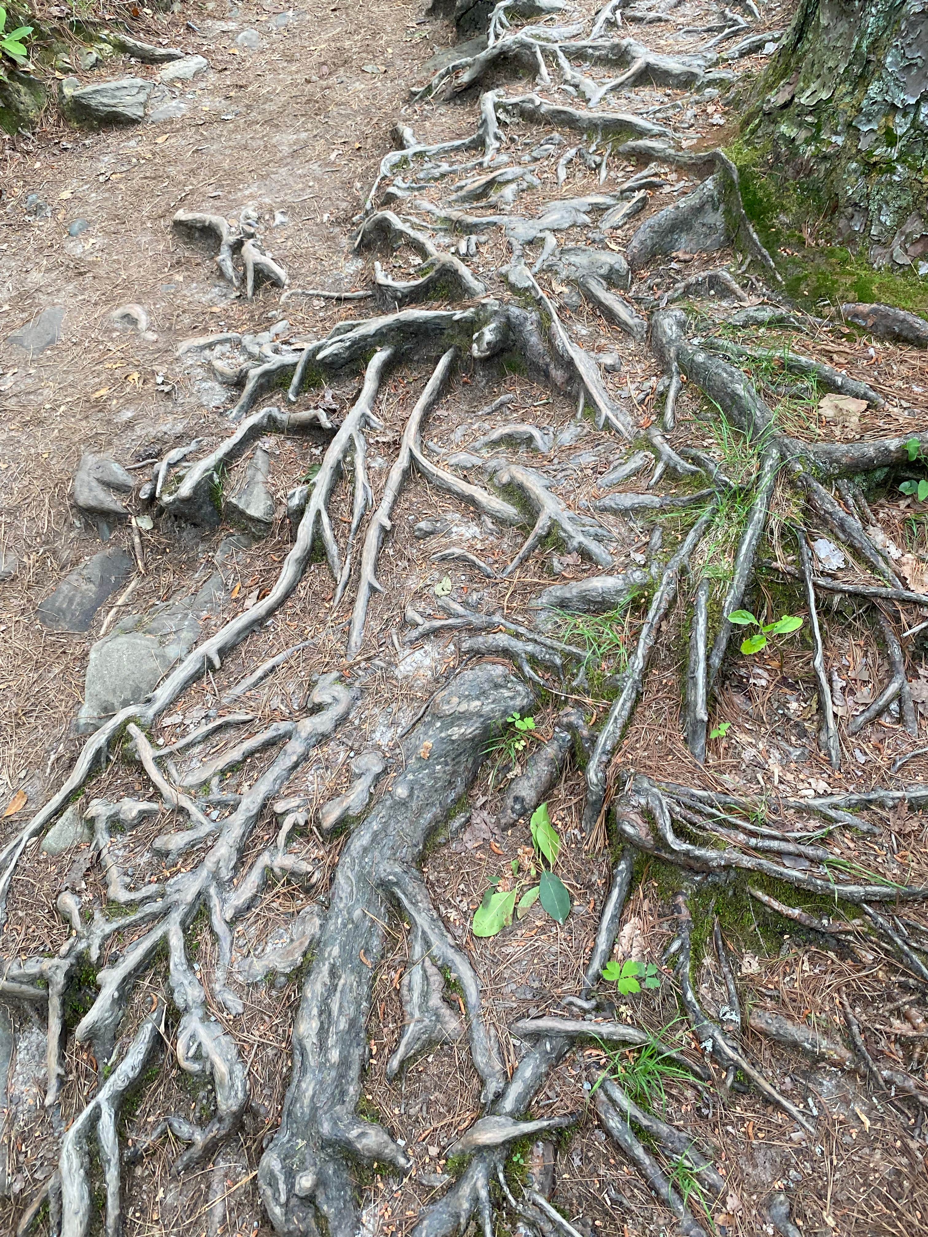 Camper-submitted photo at Boone KOA near Vilas, NC